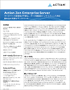 Actian Zen Enterprise Server